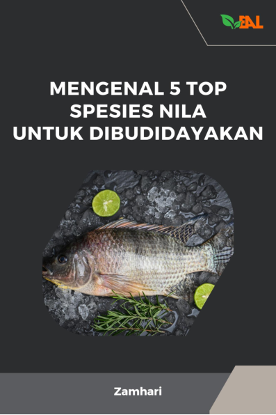 Mengenal 5 Top Spesies Nila untuk Dibudidayakan