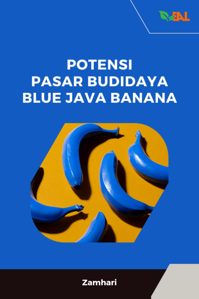 Potensi Pasar Budidaya Blue Java Banana