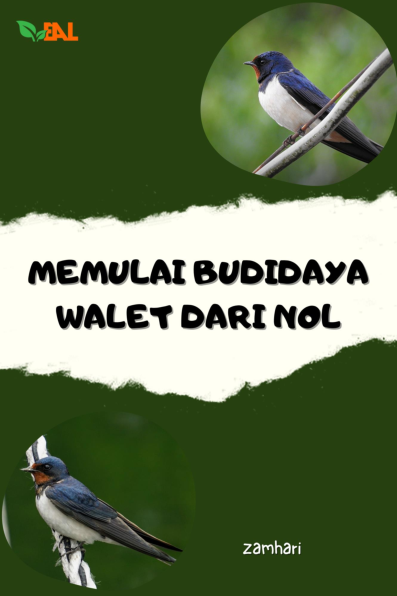 Memulai Budidaya Walet dari Nol