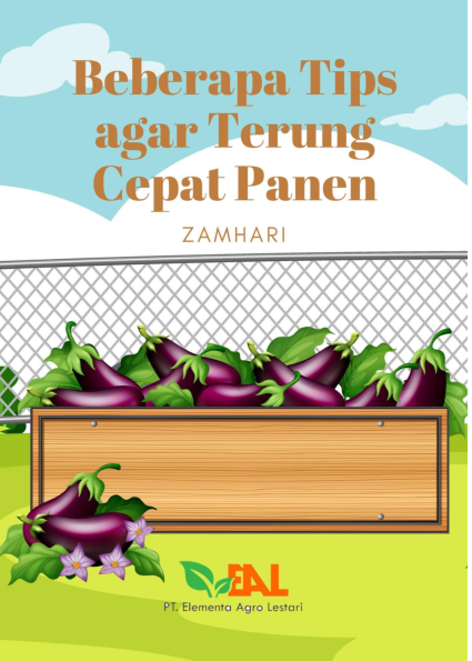 Beberapa Tips agar Terung Cepat Panen