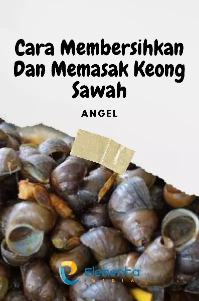 Cara Membersihkan dan Memasak Keong Sawah