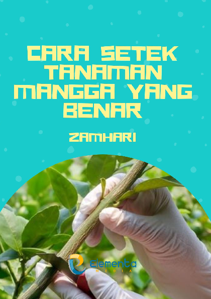 Cara Setek Tanaman Mangga yang Benar