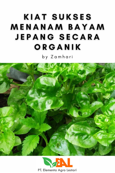 Kiat Sukses Menanam Bayam Jepang Secara Organik