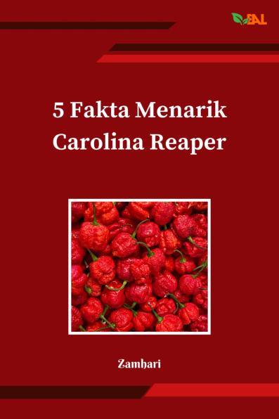 5 Fakta Menarik Carolina Reaper