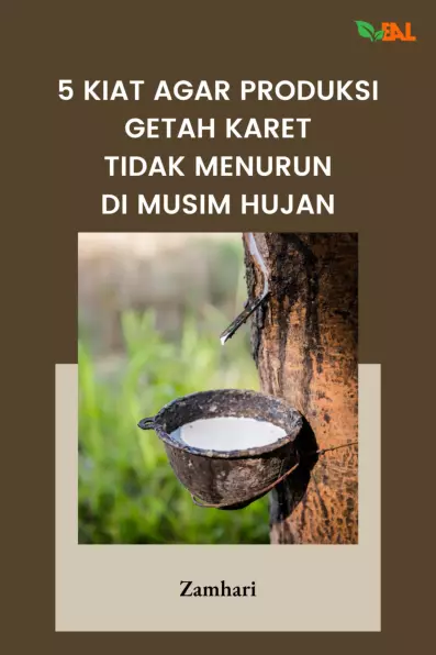 5 Kiat Agar Produksi Getah Karet Tidak Menurun di Musim Hujan