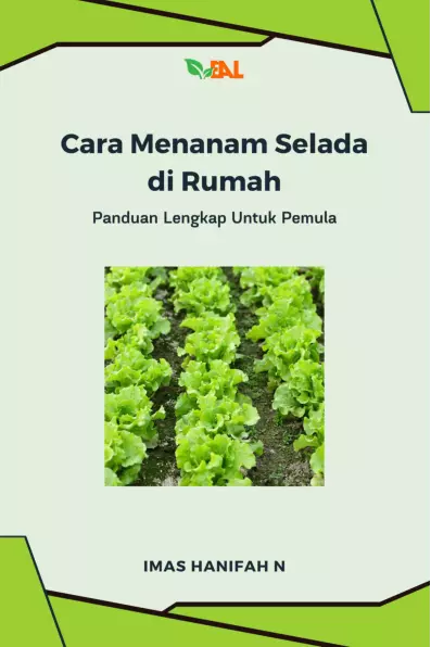 Cara Menanam Selada di Rumah : Panduan Lengkap Untuk Pemula