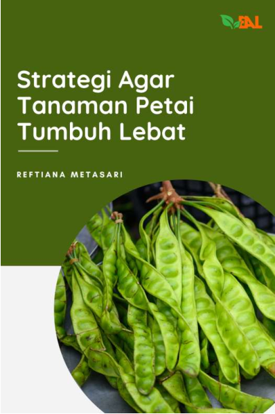 Strategi Agar Tanaman Petai Tumbuh Lebat