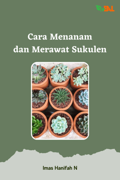 Cara Menanam dan Merawat Sukulen