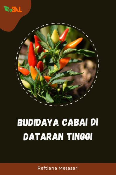 Budidaya Cabai di Dataran Tinggi