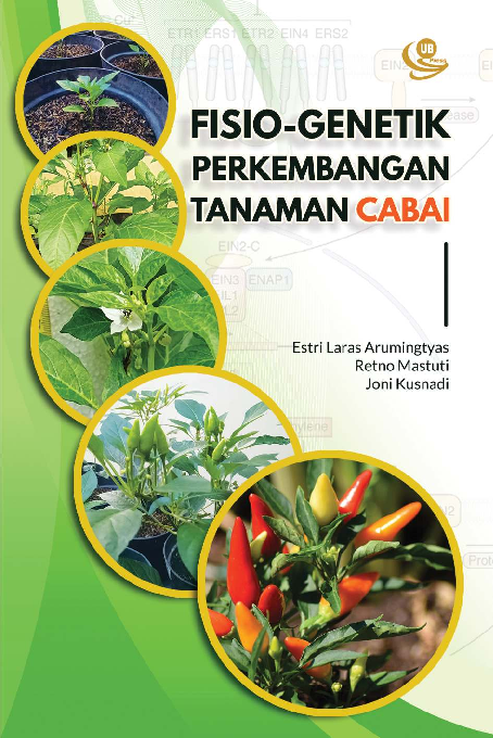 Fisio-genetik Perkembangan Tanaman Cabai