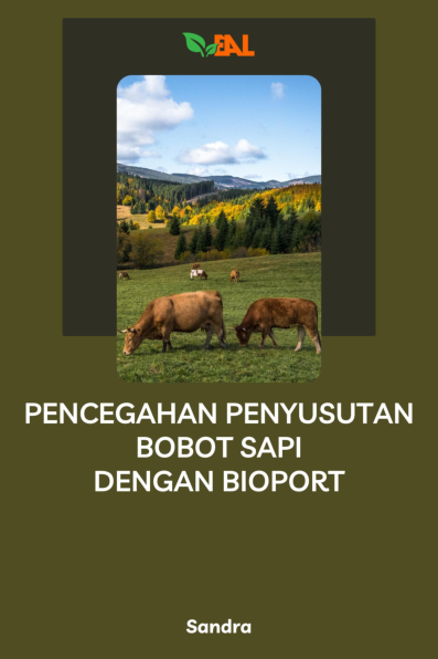 Pencegahan Penyusutan Bobot Sapi dengan Bioport