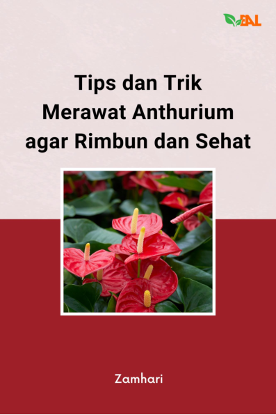 Tips dan Trik Merawat Anthurium agar Rimbun dan Sehat