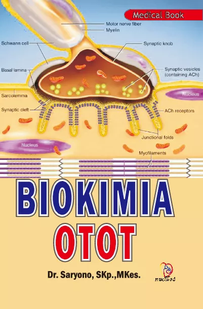 Biokimia Otot