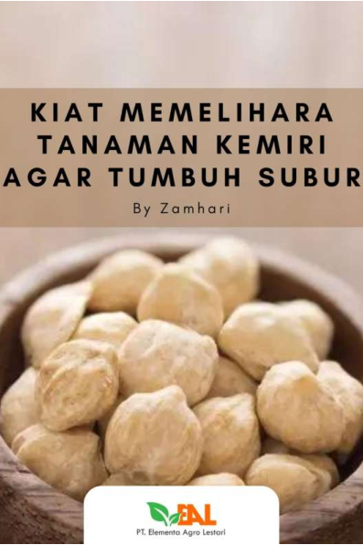 Kiat Memelihara Tanaman Kemiri Agar Tumbuh Subur