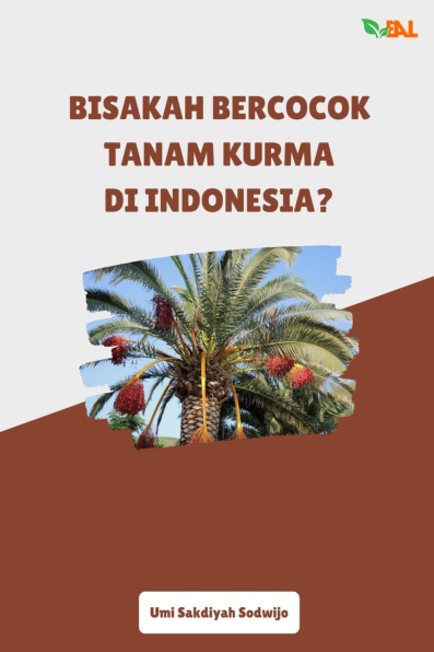 Bisakah Bercocok Tanam Kurma di Indonesia?