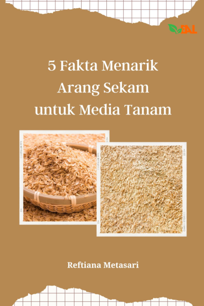 5 Fakta Menarik Arang Sekam untuk Media Tanam