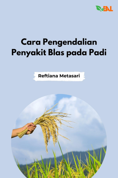 Cara Pengendalian Penyakit Blas pada Padi