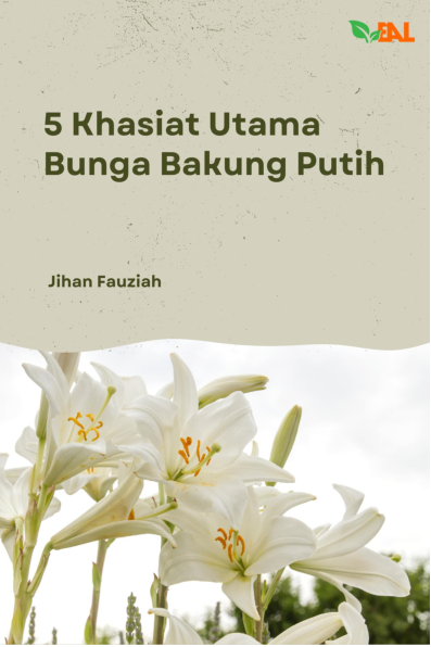 5 Khasiat Utama Bunga Bakung Putih