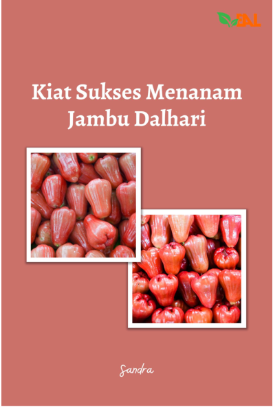 Kiat Sukses Menanam Jambu Dalhari