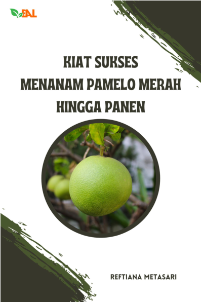 Kiat Sukses Menanam Pamelo Merah Hingga Panen