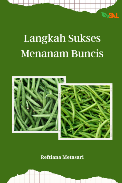 Langkah Sukses Menanam Buncis