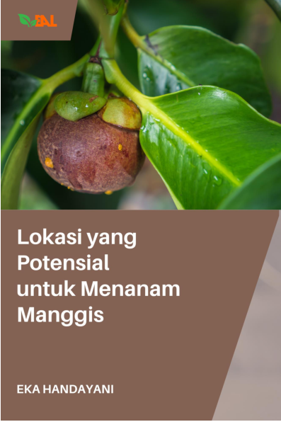 Lokasi yang Potensial untuk Menanam Manggis