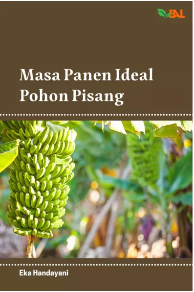 Masa Panen Ideal Pohon Pisang