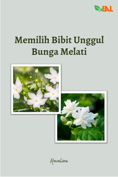 Memilih Bibit Unggul Bunga Melati