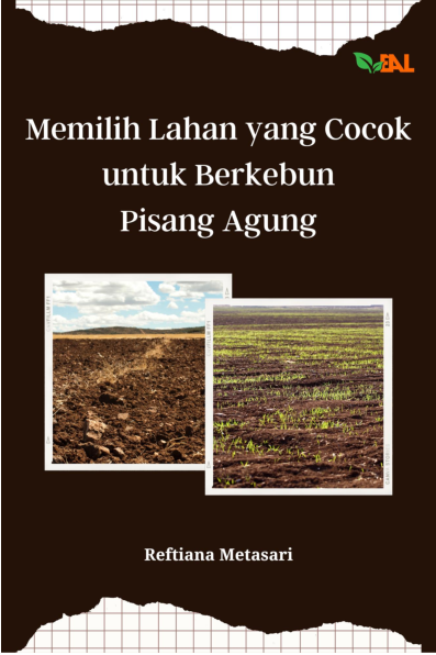 Memilih Lahan yang Cocok untuk Berkebun Pisang Agung