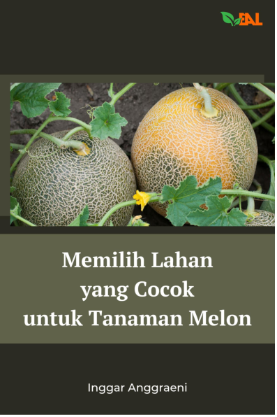 Memilih Lahan yang Cocok untuk Tanaman Melon