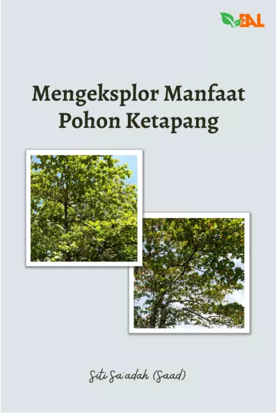 Mengeksplor Manfaat Pohon Ketapang