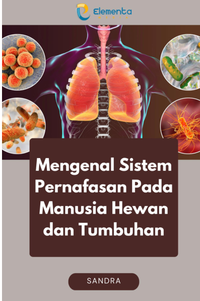 Mengenal Sistem Pernafasan Pada Manusia Hewan dan Tumbuhan