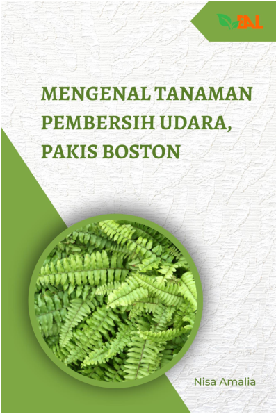 Mengenal Tanaman Pembersih Udara, Pakis Boston