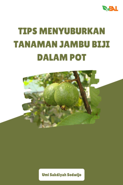 Tips Menyuburkan Tanaman Jambu Biji dalam Pot