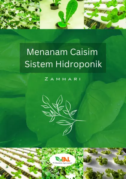 Menanam Caisim Sistem Hidroponik