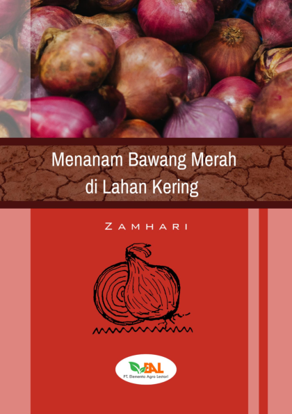 Menanam Bawang Merah di Lahan Kering