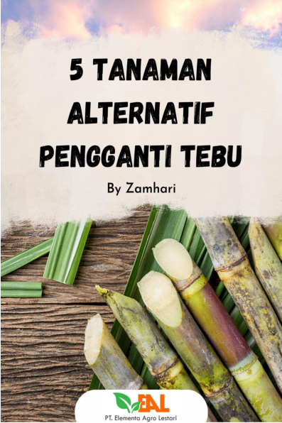 5 Tanaman Alternatif Pengganti Tebu