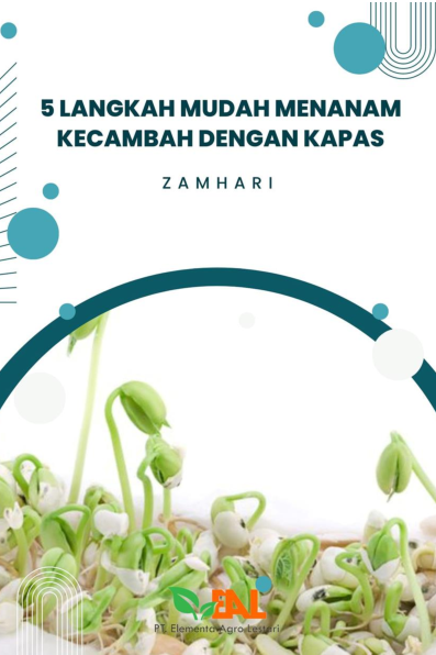 5 Langkah Mudah Menanam Kecambah dengan Kapas