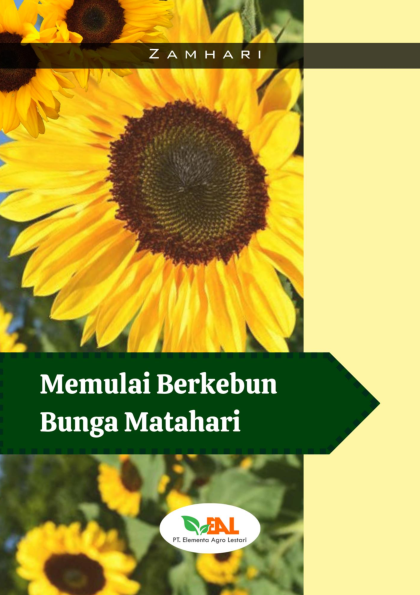 Memulai Berkebun Bunga Matahari