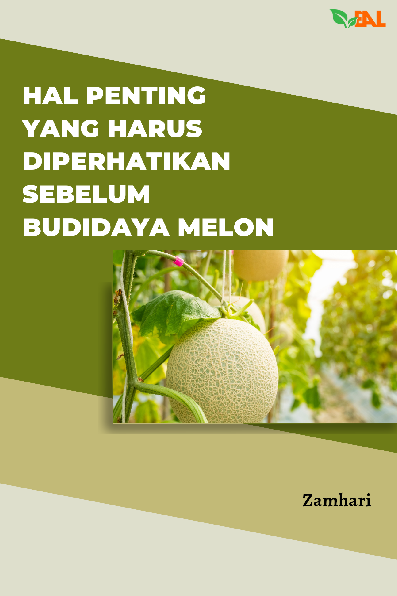 Hal Penting yang Harus Diperhatikan Sebelum Budidaya Melon