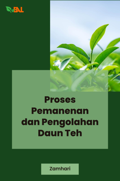 Proses Pemanenan dan Pengolahan Daun Teh