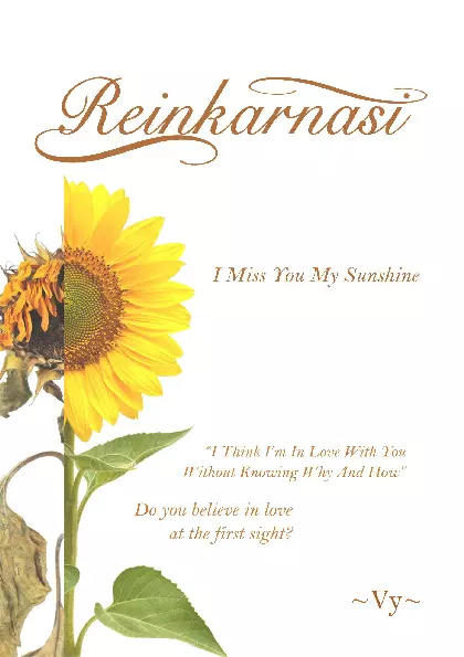 Novel Reinkarnasi