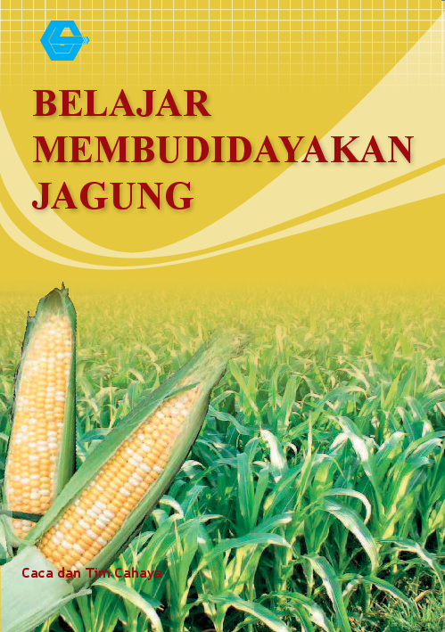 Belajar Membudidayakan Jagung