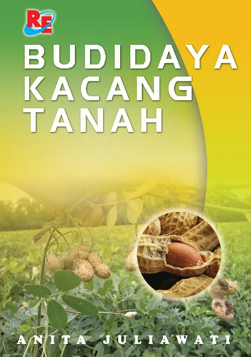 Budidaya Kacang Tanah