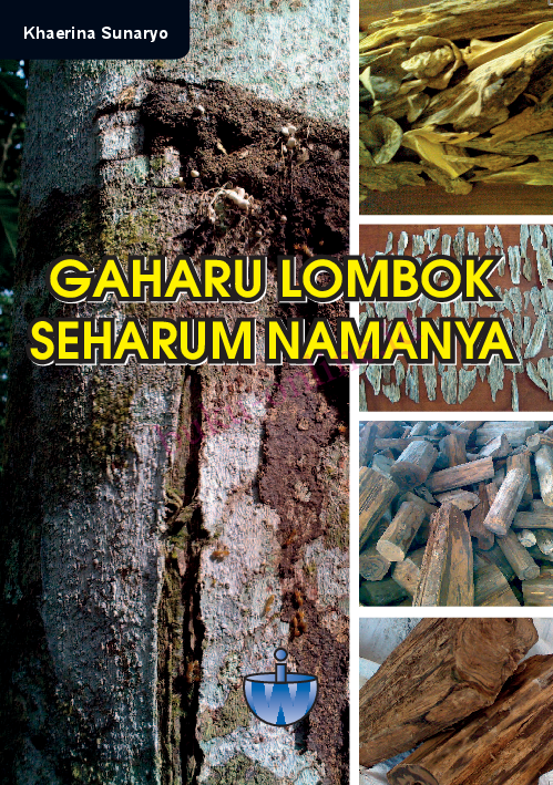 Gaharu Lombok Seharum Namanya