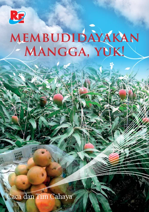 Membudidayakan Mangga, Yuk!