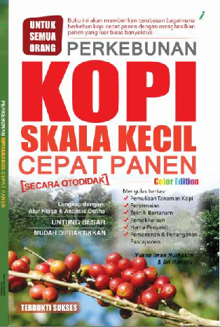 Perkebunan Kopi Cepat panen