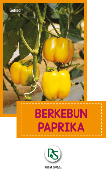 Berkebun Paprika