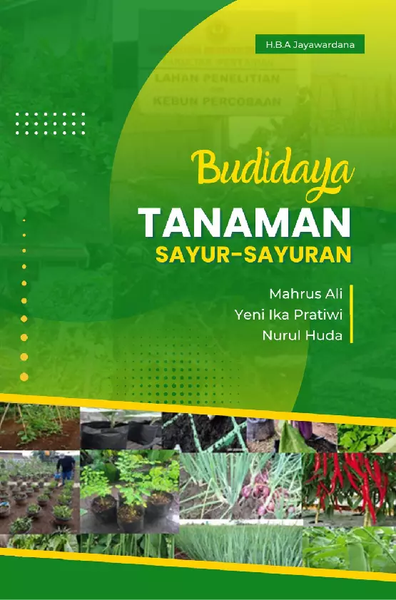 Budidaya tanaman sayur-sayuran