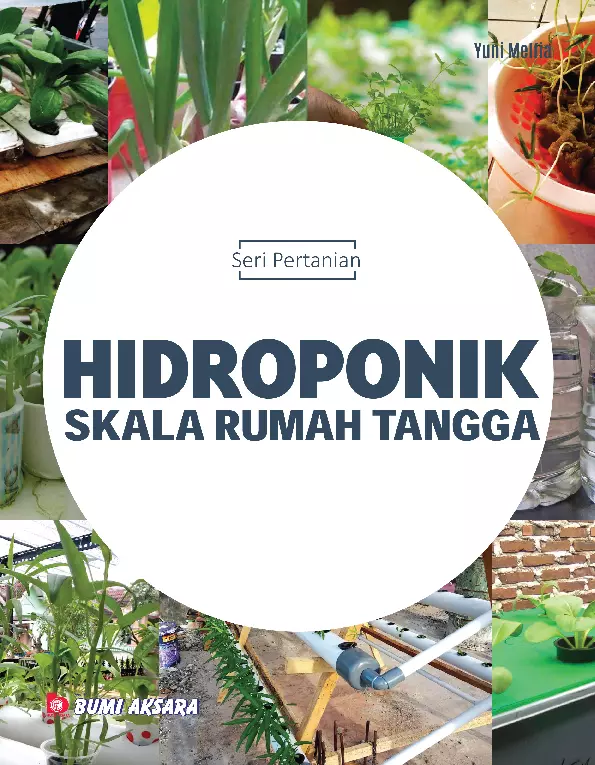 Seri Pertanian : Hidroponik Skala Rumah Tangga